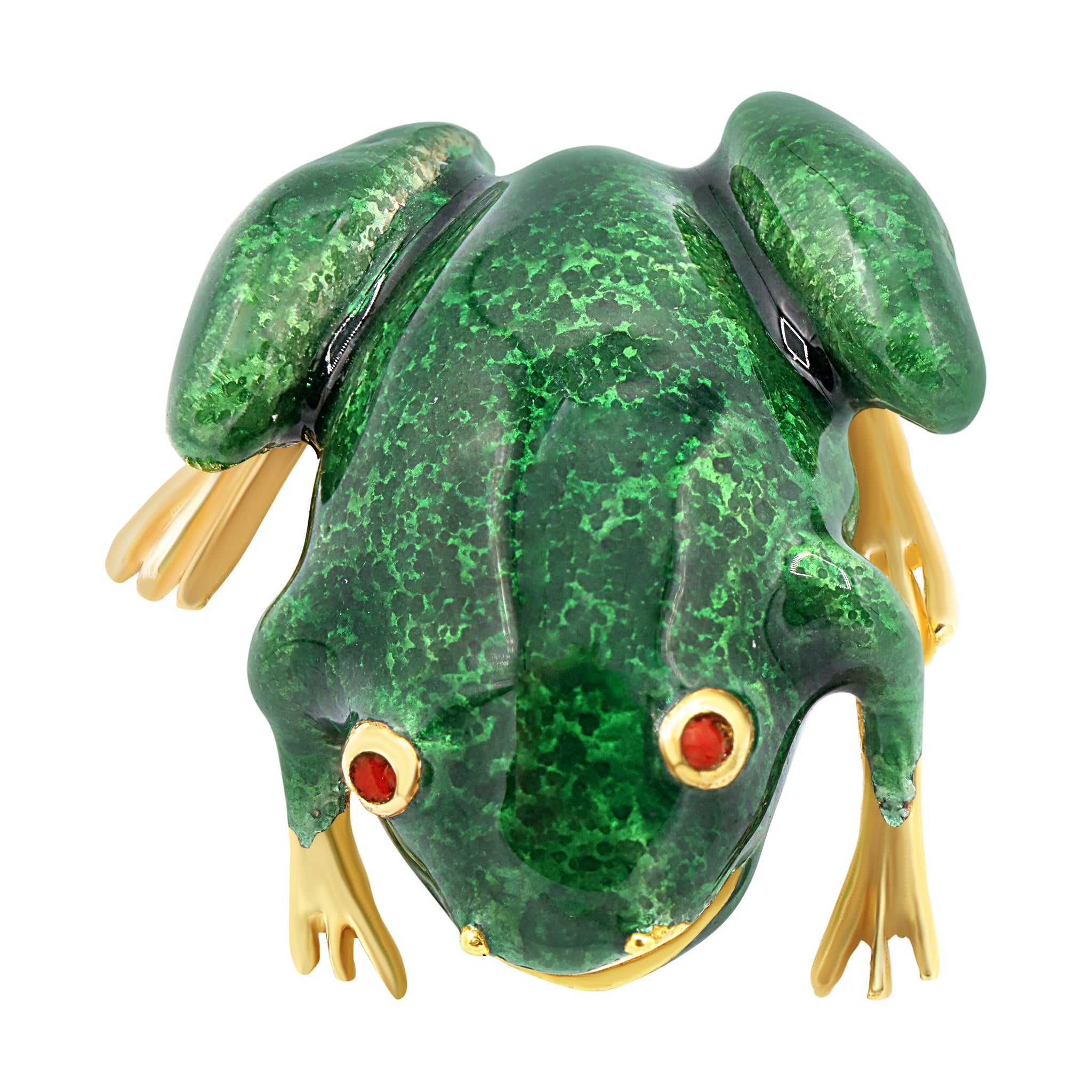 Green Frog with Red Eyes
